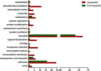 The Transcriptome of the Salivary Glands of Amblyomma aureolatum Reveals the Antimicrobial Peptide Microplusin as an Important Factor for the Tick Protection Against Rickettsia rickettsii Infection